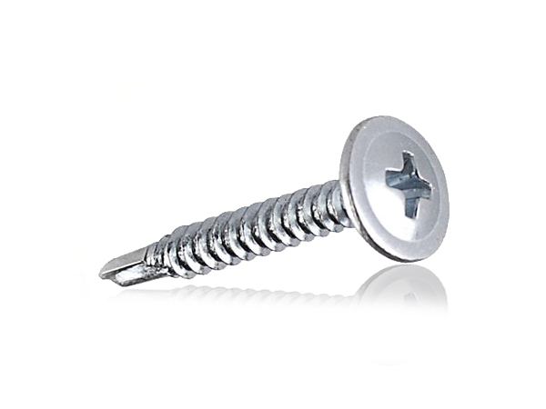 wafer head screw